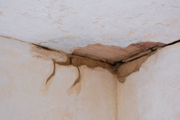 Best Water damage restoration near me  in Eddyville, IA