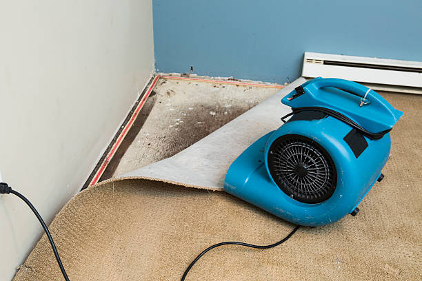 Best Carpet water damage restoration  in Eddyville, IA